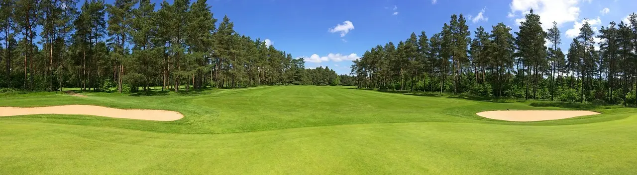 Golfbane med bunkers og træer